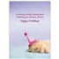 Birthday - Fun GCD65127